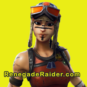 renegade raider do you own it